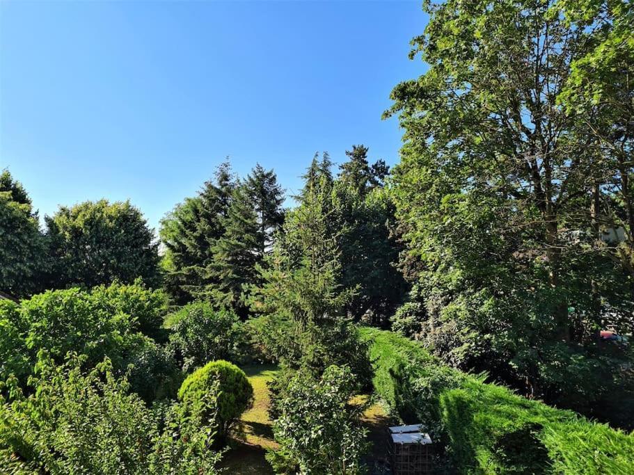 Apartment Climatise & Cosy - T3 55 M2 Parking A 2 Mn De Lyon Caluire-et-Cuire
